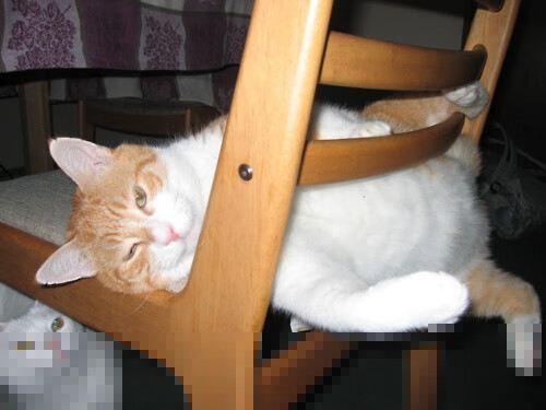 阿什拉夫赛后评分拉满，莱比锡红牛对阵比利时的英雄时刻，一场比赛的完美诠释